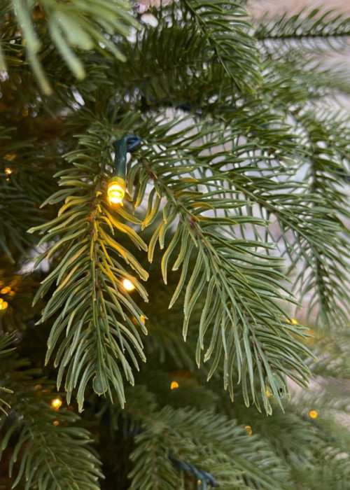 Ель Дворянская 230 см., 504 LED лампы, 100% Литая хвоя, Black Box (74563)