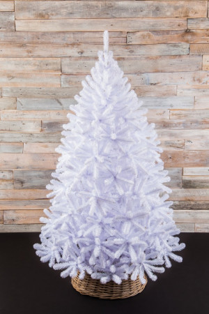 Елка Исландская белоснежная 215 см., мягкая хвоя, Triumph Tree (73248)