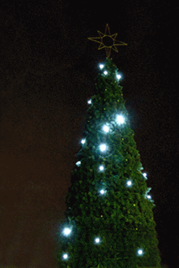 Комплект гирлянд Звездное небо для елей высотой 7 м., холодный белый, Green Trees (ZNeb7) 