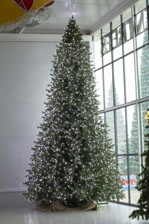 Интерьерная светодинамическая искусственная елка Сказочная Премиум 6,5 м., ствольная, Литая хвоя+ПВХ, Green Trees (GT6,5SKLED)