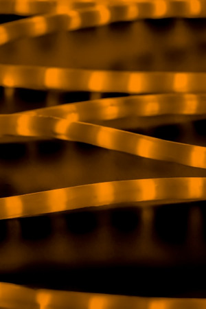 Дюралайт светодиодный 2-х проводной, диаметр 13 мм., 220В, желтые LED лампы 36 шт на 1 м., бухта 100 м., матовый, статика, Teamprof (TPF-DL-2WHM-100-240-Y)