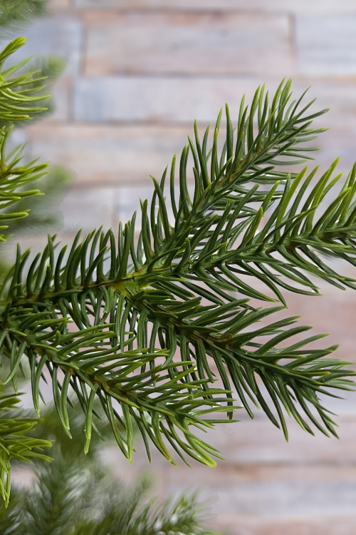 Ель Датская 215 см., 700 LED ламп, 100% литая хвоя, TreeDeLux (70058)