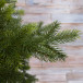 Ель Датская 215 см., 700 LED ламп, 100% литая хвоя, TreeDeLux (70058)
