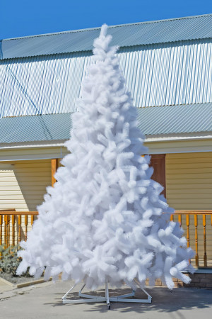 Интерьерная искусственная сосна Рублевская белая 6,5 м., ствольная, Леска, Green Trees (GT6,5RULESW)