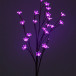Светодиодная флористика Ветка Сакуры 1м., 220V, 24 пурпурных LED ламп, коричневый провод, Beauty Led (LC176L-B024V-33)