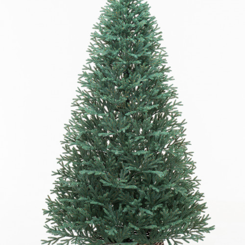 Искусственная елка Грация 240 см., 100% литая хвоя, ЕлкиТорг (164240)