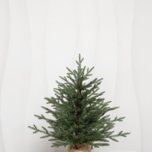 Искусственная елка Петроградская 60 см., 100% литая хвоя, ЕлкиТорг (245060)
