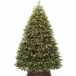 Искусственная елка Богемская 365 см., 1802 теплых белых LED ламп, Литая хвоя+ПВХ, ЕлкиТорг (180365)