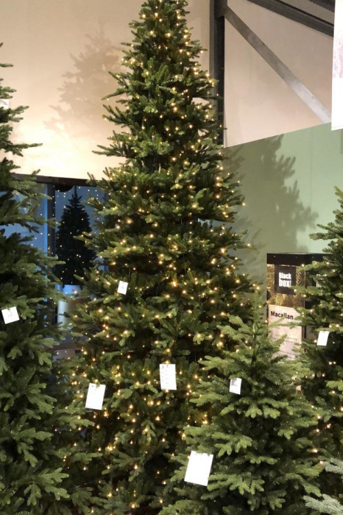 Ель Ирландская с лампочками 305 см., 948 LED ламп, литая хвоя+пвх, Black Box (74401)