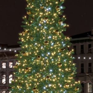 Новогодняя уличная ель «Золотые искры» - 9 м. Conso 