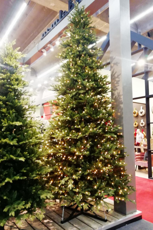 Ель Ирландская с лампочками 425 см., 1548 LED ламп, литая хвоя+пвх, Black Box (74396)