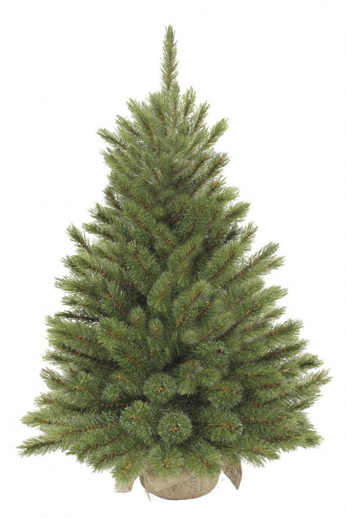 Елка Лесная Красавица в мешочке 60 см., леска, Triumph Tree (73668)