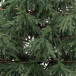 Искусственная елка Заповедная 270 см., 100% литая хвоя, ЕлкиТорг (267270) 