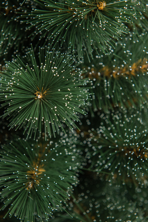 Искусственная сосна Полярная в мешочке 90 см., Леска, ЕлкиТорг (48090)