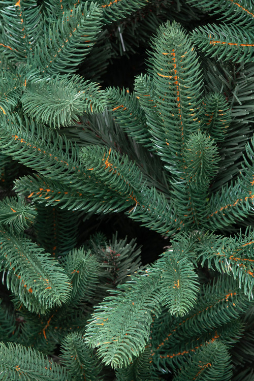 Искусственная елка Французская 210 см., литая хвоя+ПВХ, ЕлкиТорг (166210)