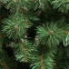 Искусственная елка Европейская 210 см., мягкая хвоя, ЕлкиТорг (41210)
