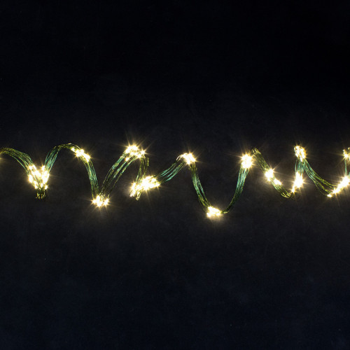 Светодиодная роса-хвост 2 м., 10 лучей, 200 теплых белых LED ламп, зеленый провод, Winner Light (ww.18.4G.200)