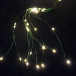 Светодиодная роса-хвост 2 м., 10 лучей, 200 теплых белых LED ламп, зеленый провод, Winner Light (ww.18.4G.200)