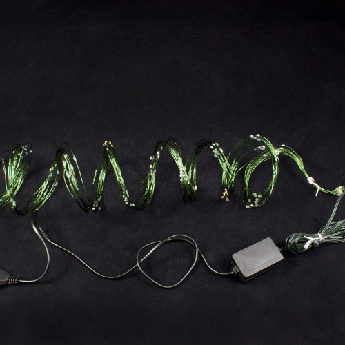 Светодиодная роса-хвост 2 м., 10 лучей, 200 теплых белых LED ламп, зеленый провод, Winner Light (ww.18.4G.200)