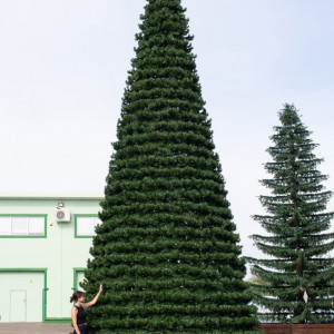 Уличная елка Испанская зеленая 5 м., каркасная, ПВХ, Green Trees (GT5ISPVC)