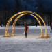 Светодиодная арка Золотые листья 5.65*3.24 м., Conso (ARK-035-1001)