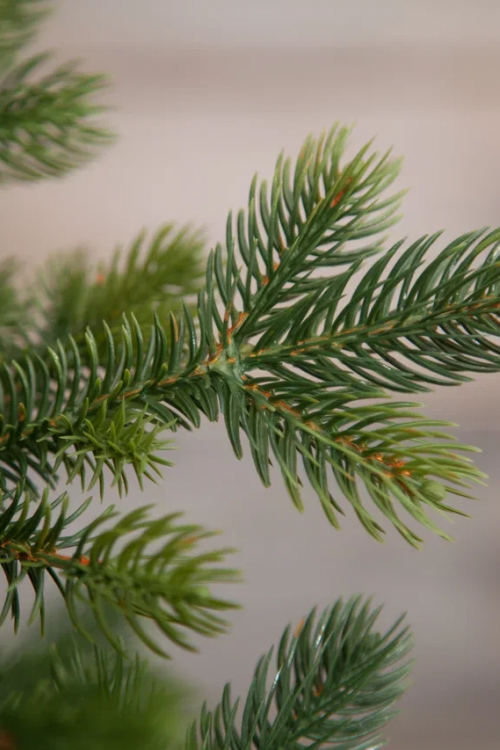 Ель Городская стройная, 100% литая хвоя, 185 см., Black Box (74618)