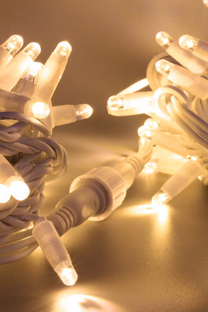 Светодиодная нить 100 теплых белых LED ламп, 10 м., 220В, статика, белый резиновый провод, Teamprof (TPF-S10C-220V-RW/WW)