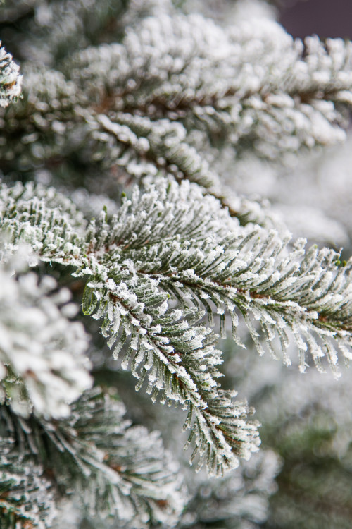 Ель искусственная Стильная заснеженная 155 см., литая хвоя+пвх, Black Box (74467)