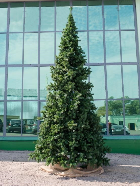 Интерьерная искусственная елка Клеопатра Премиум 6 м., ствольная, ПВХ, Green Trees (GT6KL)