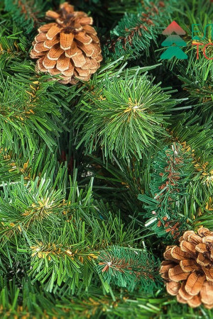 Комплект крупных натуральных шишек 25 шт., ЕлкиТорг (52407)