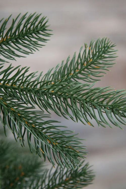 Искусственная елка Швейцарская, 185 см., 100% литая хвоя, Black Box (74536)