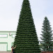 Уличная елка Испанская зеленая 10 м., каркасная, ПВХ, Green Trees (GT10ISPVC)