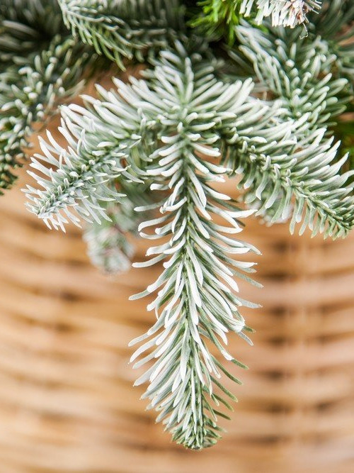 Елка Нормандия пушистая заснеженная 155 см., литая хвоя+пвх, Triumph Tree (73530)