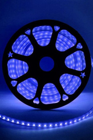 Неон торцевой 14*10 мм., 220V, синие LED лампы 100 шт на 1 м, бухта 50 м, Beauty Led (LCT-2B) 