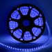 Неон торцевой 14*10 мм., 220V, синие LED лампы 100 шт на 1 м, бухта 50 м, Beauty Led (LCT-2B) 