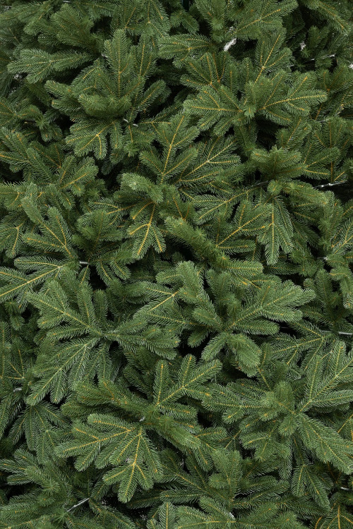 Искусственная елка Городская 3 м., 100% литая хвоя, ЕлкиТорг (197300)