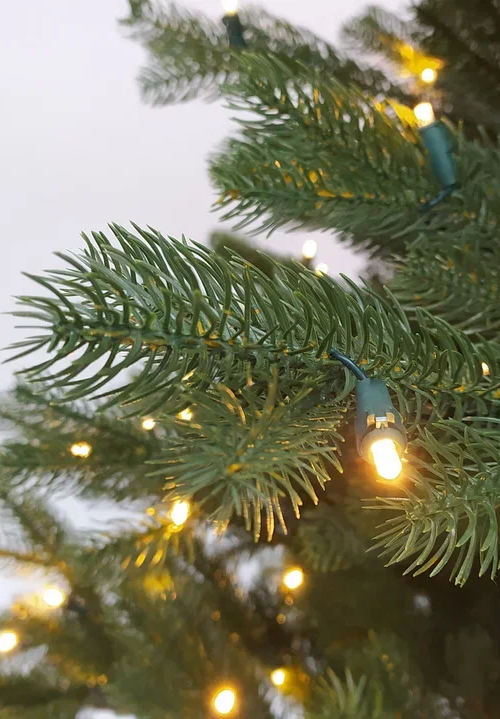 Искусственная елка Швейцарская 185 см., 220 теплых белых LED ламп, 100% литая хвоя, Black Box (74539)