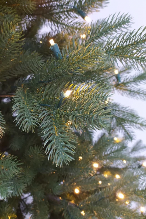 Искусственная елка Швейцарская 185 см., 220 теплых белых LED ламп, 100% литая хвоя, Black Box (74539)