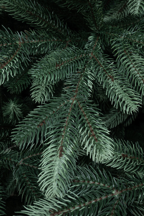 Искусственная ель Царская 6 м., ствольная, интерьерная, 100% литая хвоя, ЕлкиТорг (194600)