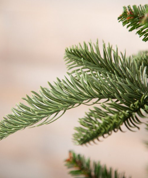 Елка Нормандия 230 см., литая хвоя+пвх, Triumph Tree (73450)