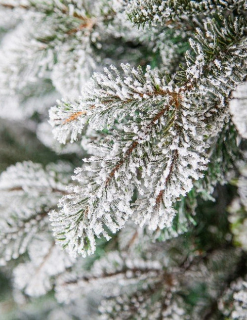 Ель искусственная Стильная заснеженная 120 см., литая хвоя+пвх, Black Box (74446)