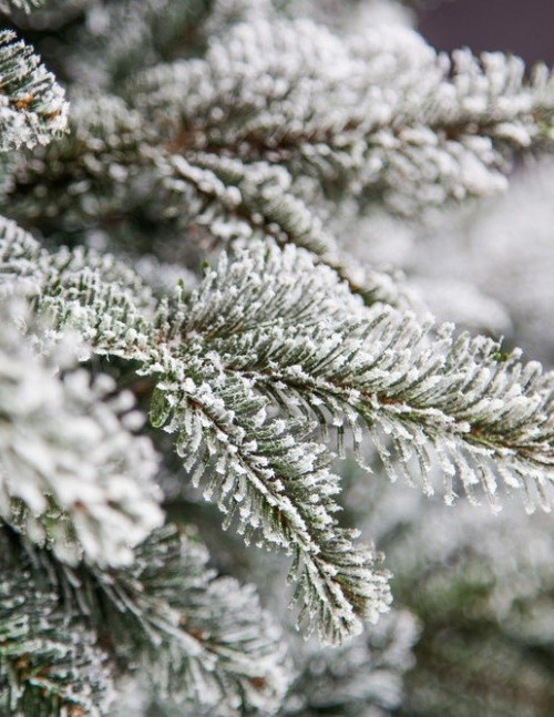 Ель искусственная Стильная заснеженная 120 см., литая хвоя+пвх, Black Box (74446)