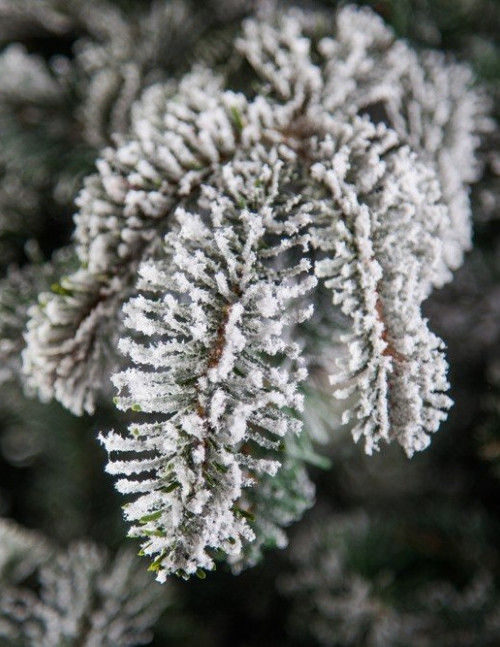 Ель искусственная Стильная заснеженная 120 см., литая хвоя+пвх, Black Box (74446)