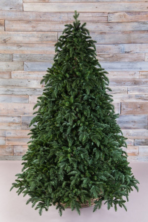 Елка Нормандия 365 см., интерьерная, литая хвоя+пвх, Triumph Tree (73783)