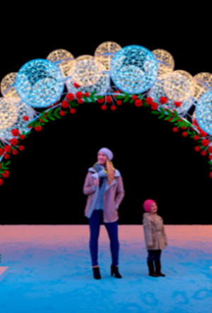 Светодиодная арка Шары с рябиной 360 см., Сад Радости (SR072)