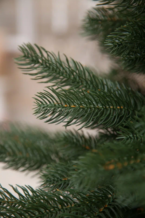 Искусственная елка  Швейцарская стройная 215 см., 100% литая хвоя,  Black Box (74623)