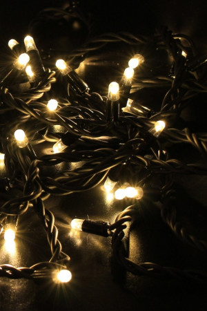 Светодиодная нить 100 теплых белых LED ламп, 10 м., 220В, статика, черный резиновый провод, Teamprof (TPF-S10C-220V-RB/WW)