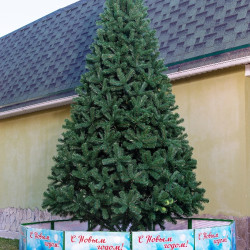 Искусственная сосна Афина PREMIUM 4 м., ствольная, уличная, ПВХ, ЕлкиТорг (59400)