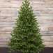 Ель Городская, 100% литая хвоя, 185 см., Black Box (74542)