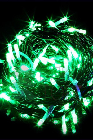 Светодиодная гирлянда мерцающая 10 м, 220-230V., 100 зеленых LED ламп, черный ПВХ, Beauty Led (PST100BL-11-2G)